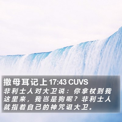 撒 母 耳 记 上 17:43 CUVS Bible Verse Image