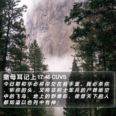 撒 母 耳 记 上 17:46 CUVS Bible Verse Image