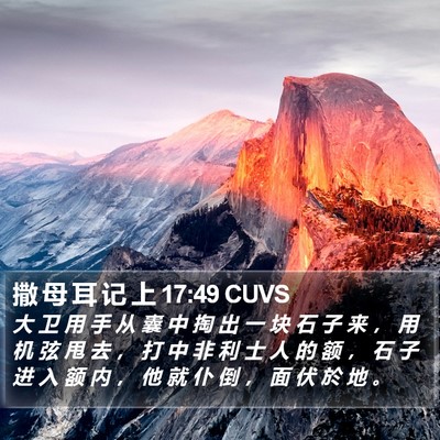 撒 母 耳 记 上 17:49 CUVS Bible Verse Image