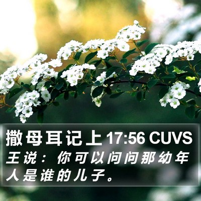 撒 母 耳 记 上 17:56 CUVS Bible Verse Image