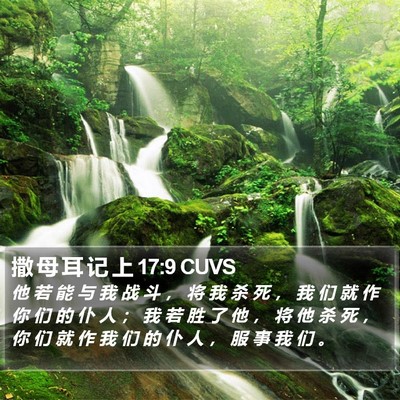 撒 母 耳 记 上 17:9 CUVS Bible Verse Image