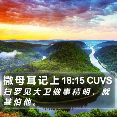 撒 母 耳 记 上 18:15 CUVS Bible Verse Image