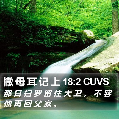 撒 母 耳 记 上 18:2 CUVS Bible Verse Image