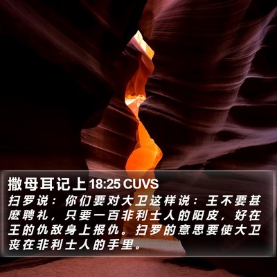 撒 母 耳 记 上 18:25 CUVS Bible Verse Image