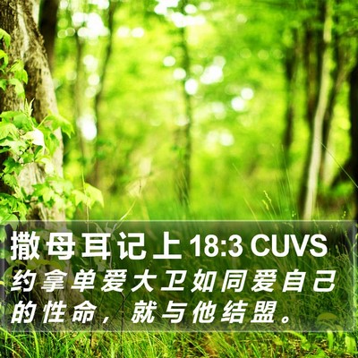 撒 母 耳 记 上 18:3 CUVS Bible Verse Image