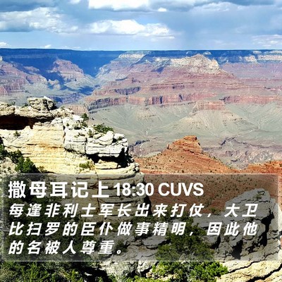 撒 母 耳 记 上 18:30 CUVS Bible Verse Image