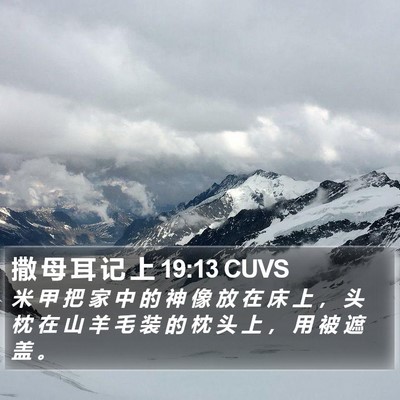 撒 母 耳 记 上 19:13 CUVS Bible Verse Image