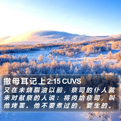 撒 母 耳 记 上 2:15 CUVS Bible Verse Image