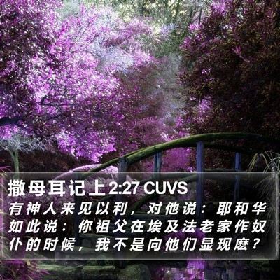 撒 母 耳 记 上 2:27 CUVS Bible Verse Image