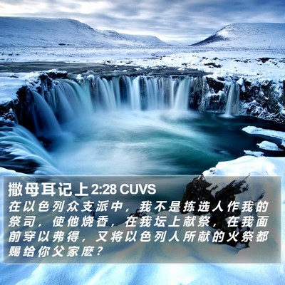 撒 母 耳 记 上 2:28 CUVS Bible Verse Image
