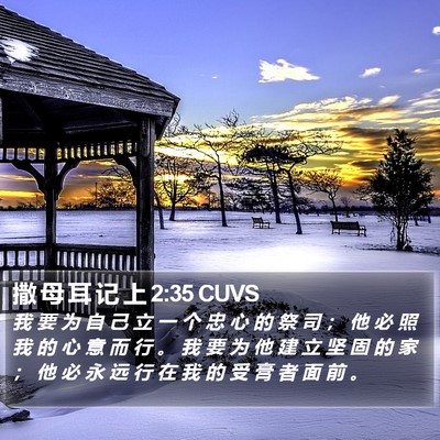 撒 母 耳 记 上 2:35 CUVS Bible Verse Image