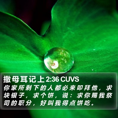 撒 母 耳 记 上 2:36 CUVS Bible Verse Image