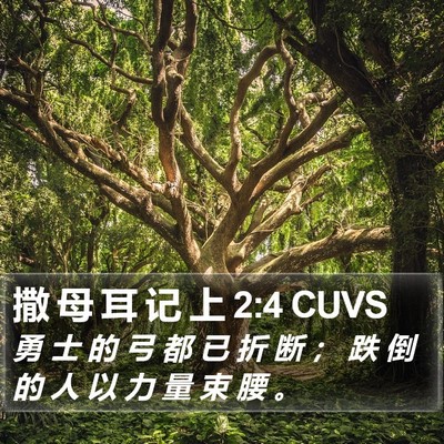 撒 母 耳 记 上 2:4 CUVS Bible Verse Image