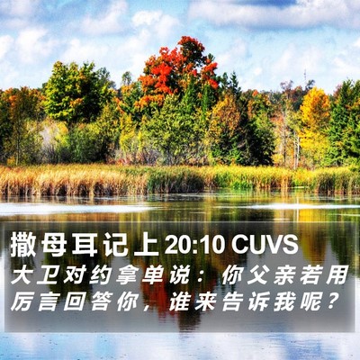 撒 母 耳 记 上 20:10 CUVS Bible Verse Image