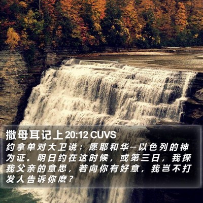 撒 母 耳 记 上 20:12 CUVS Bible Verse Image
