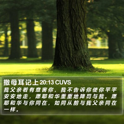 撒 母 耳 记 上 20:13 CUVS Bible Verse Image