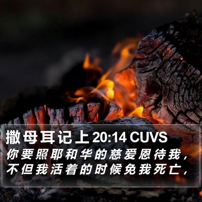 撒 母 耳 记 上 20:14 CUVS Bible Verse Image