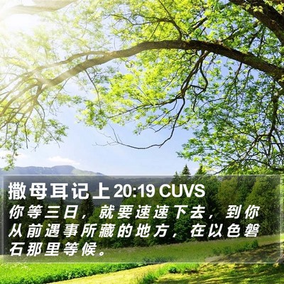 撒 母 耳 记 上 20:19 CUVS Bible Verse Image