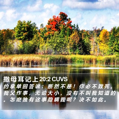 撒 母 耳 记 上 20:2 CUVS Bible Verse Image