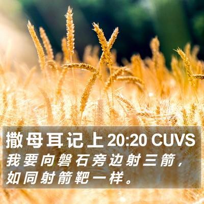 撒 母 耳 记 上 20:20 CUVS Bible Verse Image