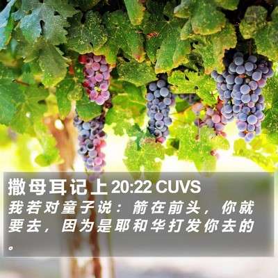 撒 母 耳 记 上 20:22 CUVS Bible Verse Image