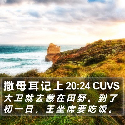 撒 母 耳 记 上 20:24 CUVS Bible Verse Image