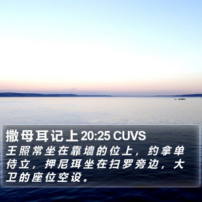 撒 母 耳 记 上 20:25 CUVS Bible Verse Image