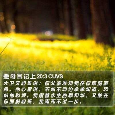 撒 母 耳 记 上 20:3 CUVS Bible Verse Image