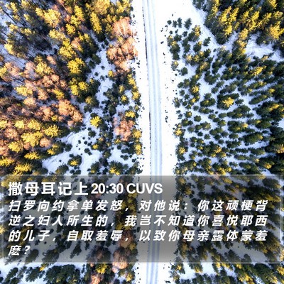 撒 母 耳 记 上 20:30 CUVS Bible Verse Image