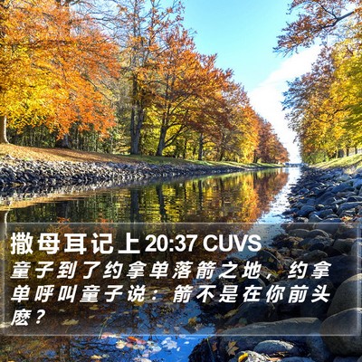 撒 母 耳 记 上 20:37 CUVS Bible Verse Image