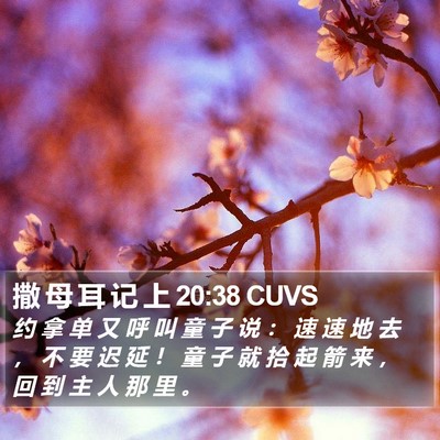 撒 母 耳 记 上 20:38 CUVS Bible Verse Image
