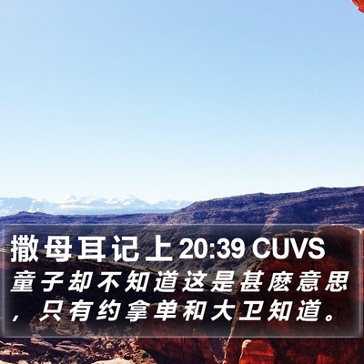 撒 母 耳 记 上 20:39 CUVS Bible Verse Image