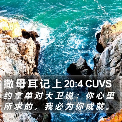 撒 母 耳 记 上 20:4 CUVS Bible Verse Image