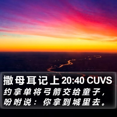 撒 母 耳 记 上 20:40 CUVS Bible Verse Image