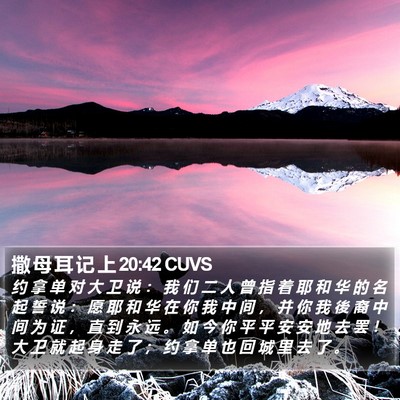 撒 母 耳 记 上 20:42 CUVS Bible Verse Image