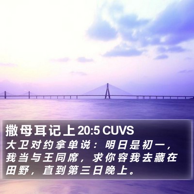 撒 母 耳 记 上 20:5 CUVS Bible Verse Image