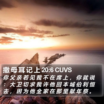 撒 母 耳 记 上 20:6 CUVS Bible Verse Image