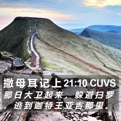 撒 母 耳 记 上 21:10 CUVS Bible Verse Image