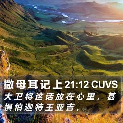 撒 母 耳 记 上 21:12 CUVS Bible Verse Image