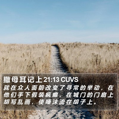 撒 母 耳 记 上 21:13 CUVS Bible Verse Image