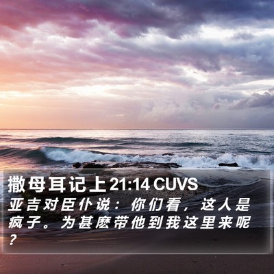 撒 母 耳 记 上 21:14 CUVS Bible Verse Image