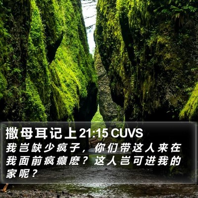 撒 母 耳 记 上 21:15 CUVS Bible Verse Image