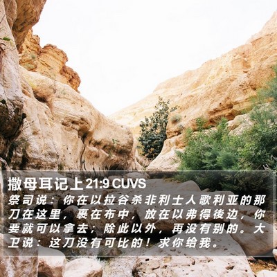 撒 母 耳 记 上 21:9 CUVS Bible Verse Image