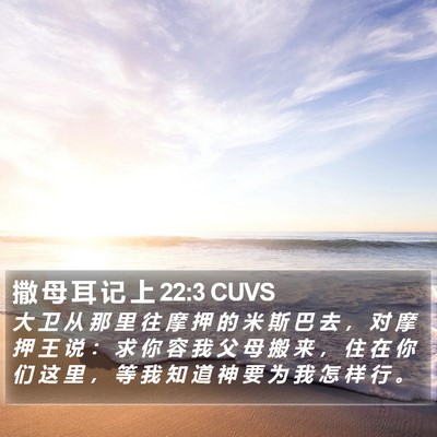 撒 母 耳 记 上 22:3 CUVS Bible Verse Image