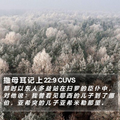 撒 母 耳 记 上 22:9 CUVS Bible Verse Image