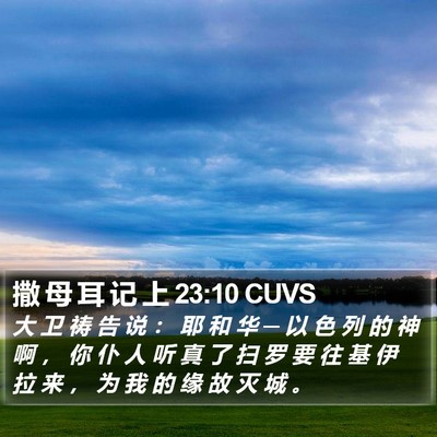 撒 母 耳 记 上 23:10 CUVS Bible Verse Image