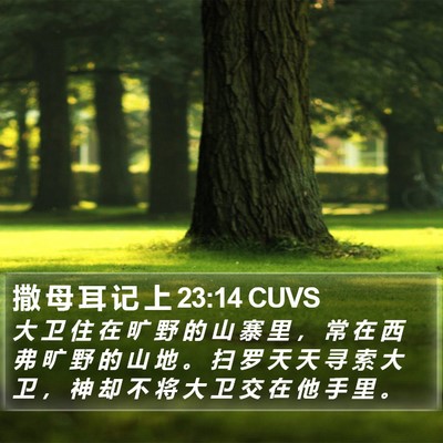 撒 母 耳 记 上 23:14 CUVS Bible Verse Image