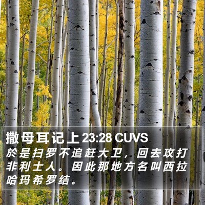 撒 母 耳 记 上 23:28 CUVS Bible Verse Image