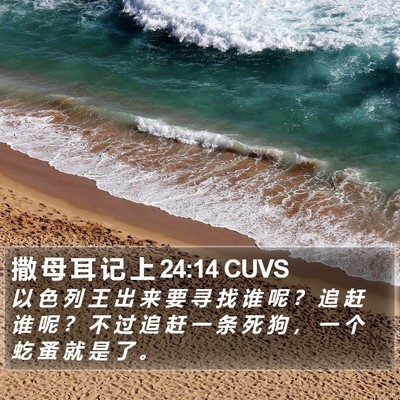 撒 母 耳 记 上 24:14 CUVS Bible Verse Image