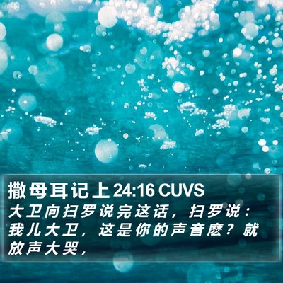 撒 母 耳 记 上 24:16 CUVS Bible Verse Image